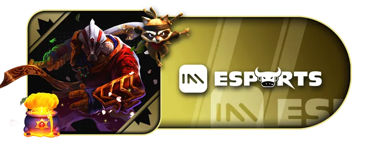 IM ESPORTS